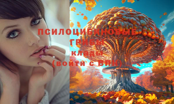 PSILOCYBIN Балахна